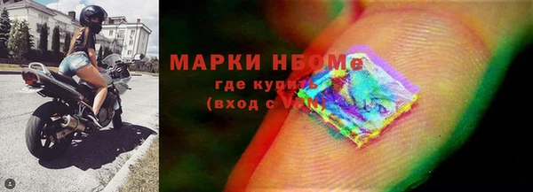 стафф Ладушкин