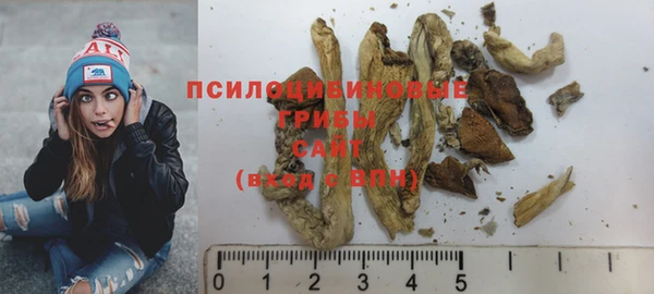 СК Липки