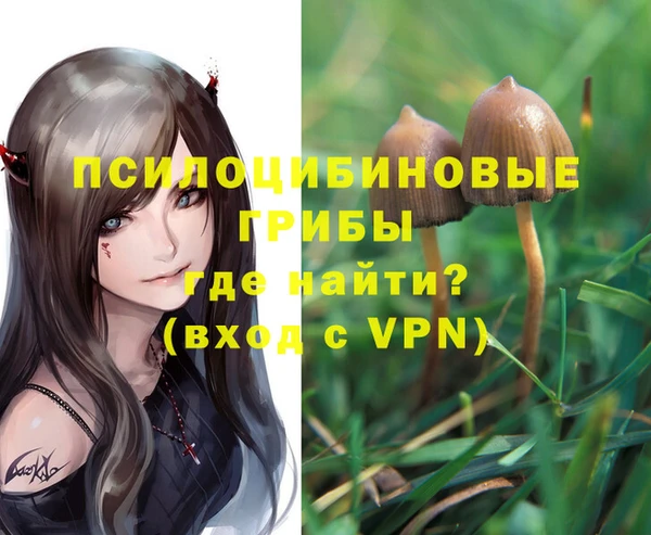стафф Ладушкин