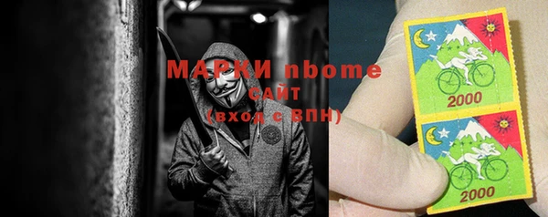 стафф Ладушкин