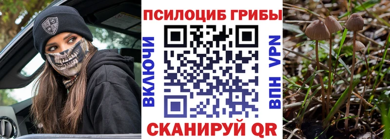 купить наркотики сайты  Лысково  Псилоцибиновые грибы ЛСД 